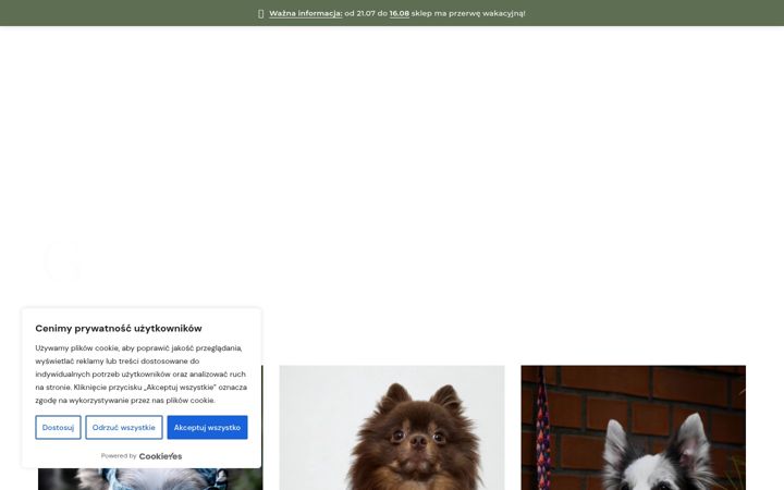 Captura de ecrã de bellmo.pl