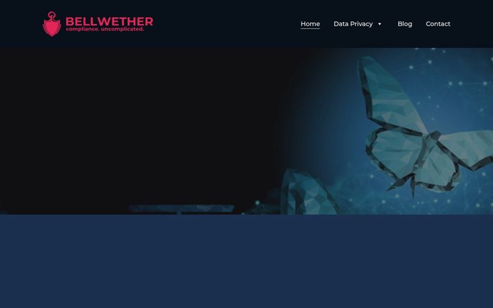 Screenshot of bellwetherindia.com