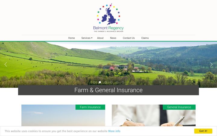Screenshot of belmontregency.com