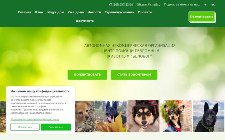 Snímek obrazovky belobog-novoros.ru