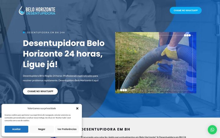Screenshot of belohorizontedesentupidora.com.br