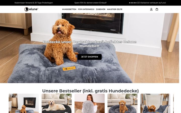 Screenshot of belune.de