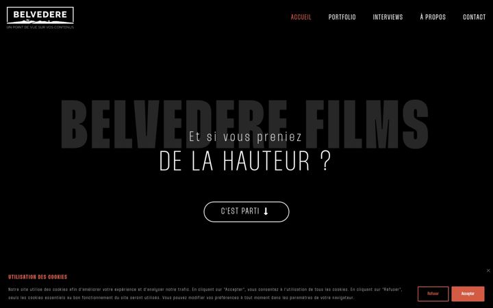 Screenshot ta' belvedere-films.fr