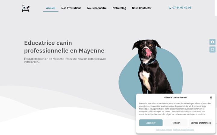 Screenshot ta' belvidog.fr