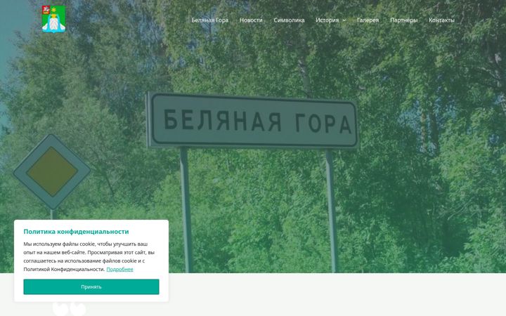 Snímek obrazovky belynaygora.ru