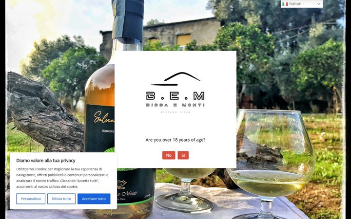 Screenshot of bem-italy.com