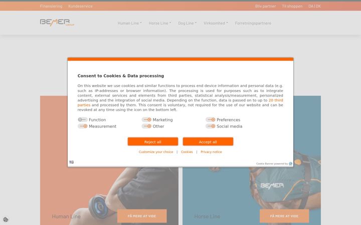 Screenshot of bemergroup.com