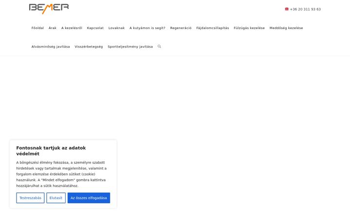 Screenshot of bemerkecskemet.hu