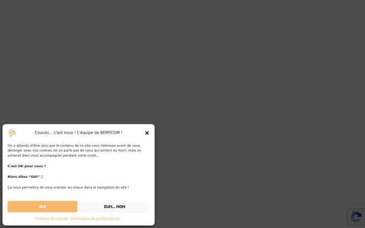 Screenshot ta' bemycom.fr