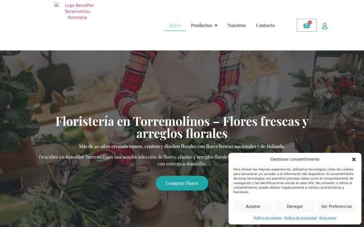 Screenshot of benalflortorremolinos.com