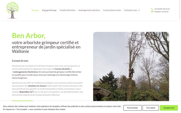 Screenshot of benarbor.be