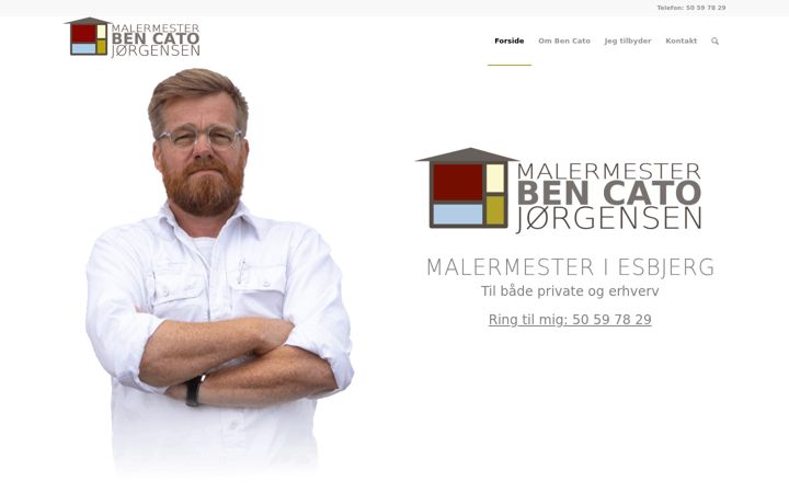 Screenshot of bencato.dk