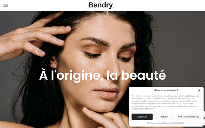 Screenshot von bendry.fr