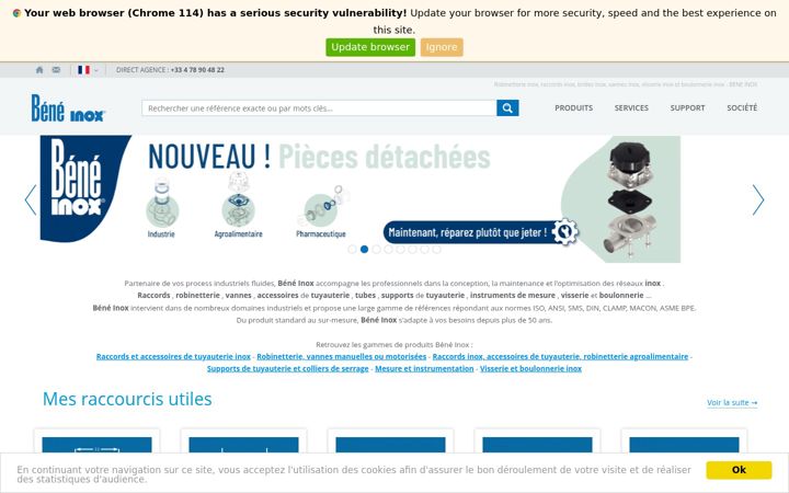 Screenshot of bene-inox.com