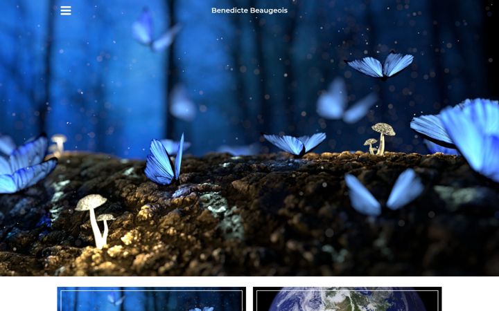 Screenshot of benedictebeaugeois.com