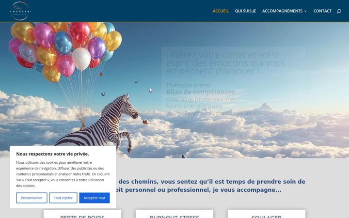 Screenshot of benedictesidot.com