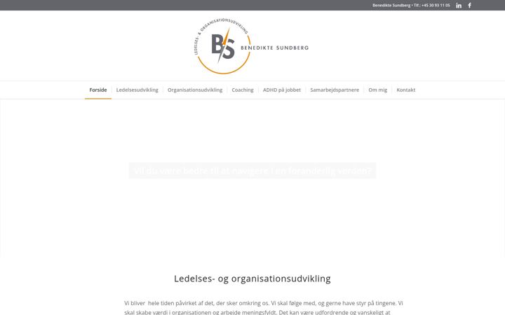 Screenshot of benediktesundberg.com