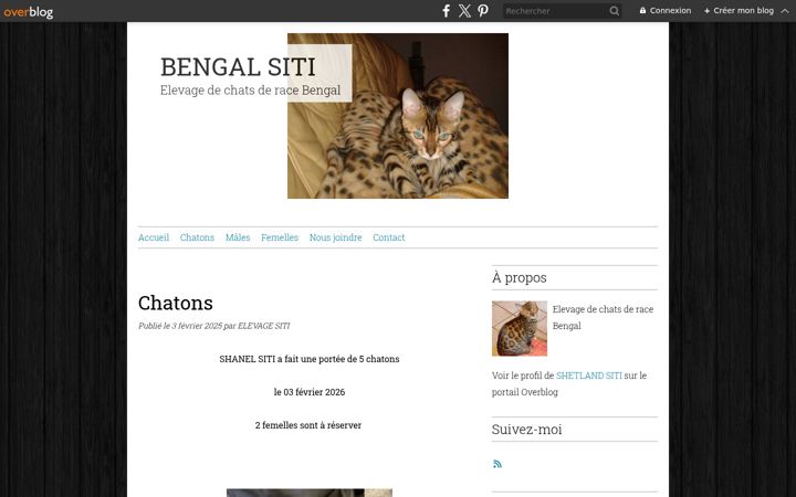 Screenshot of bengalsiti.fr
