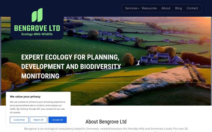 Screenshot of bengroveconsult.co.uk