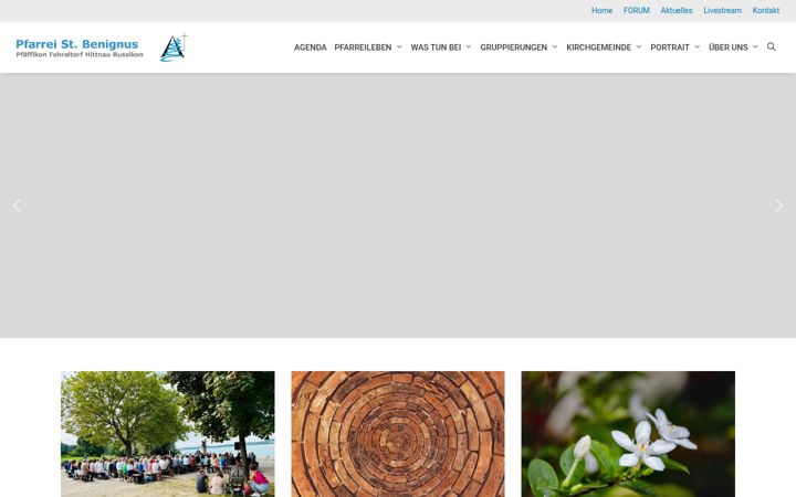 Screenshot of benignus.ch