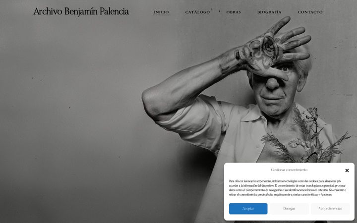 Zrzut ekranu benjaminpalencia.es