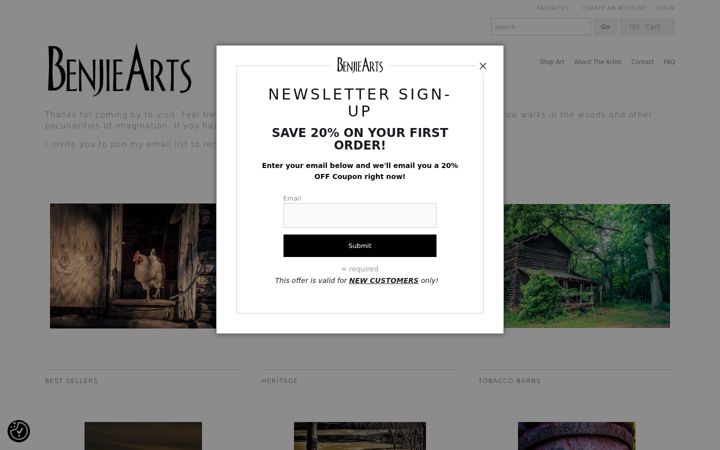 Screenshot of benjiearts.com