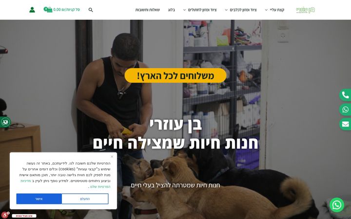 Screenshot of benozeri.co.il