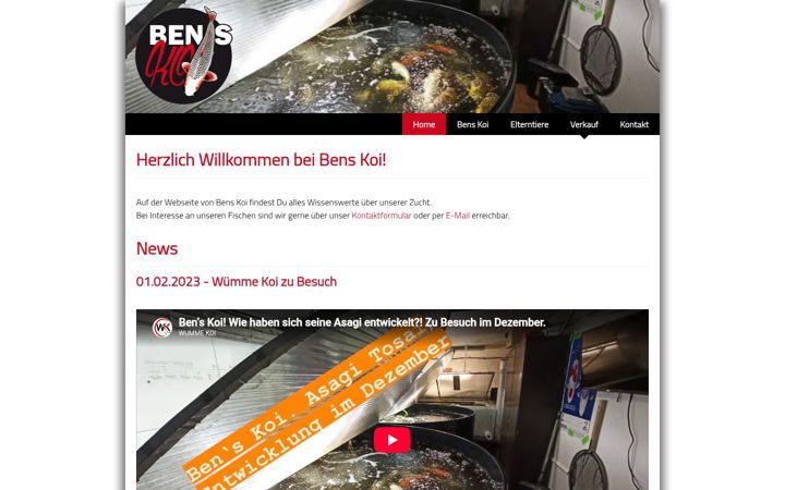Screenshot of bens-koi.de