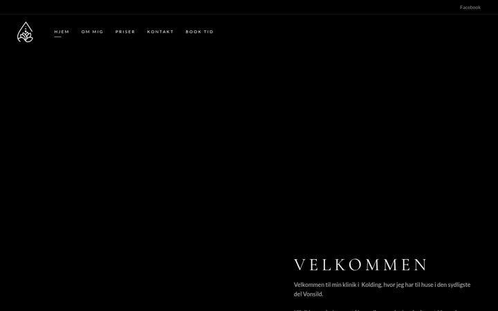 Screenshot of bentejohansen.dk