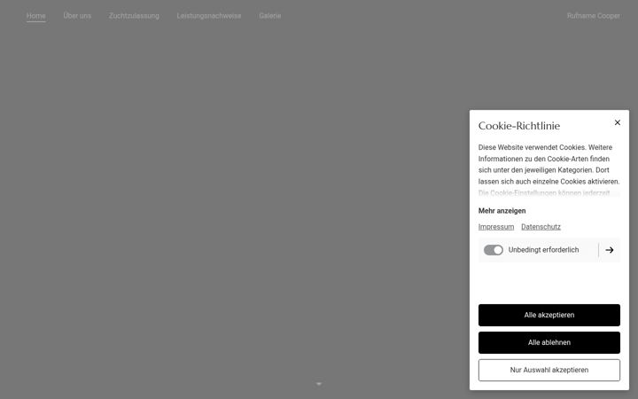 Screenshot of benvomsteinebach.com