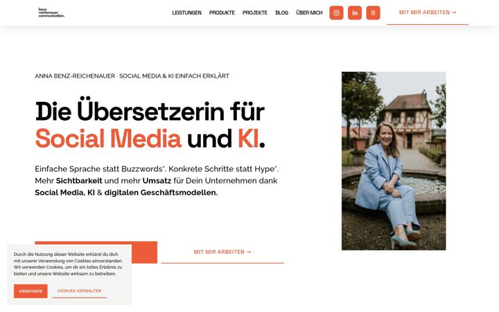 Screenshot of benz-reichenauer.de