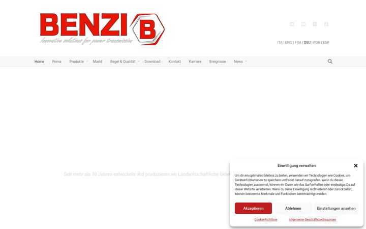 Ekrano kopija benzigroup.de
