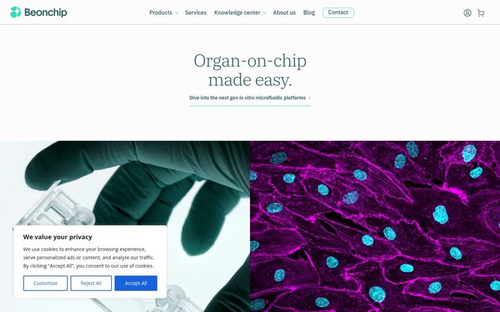 Screenshot of beonchip.com