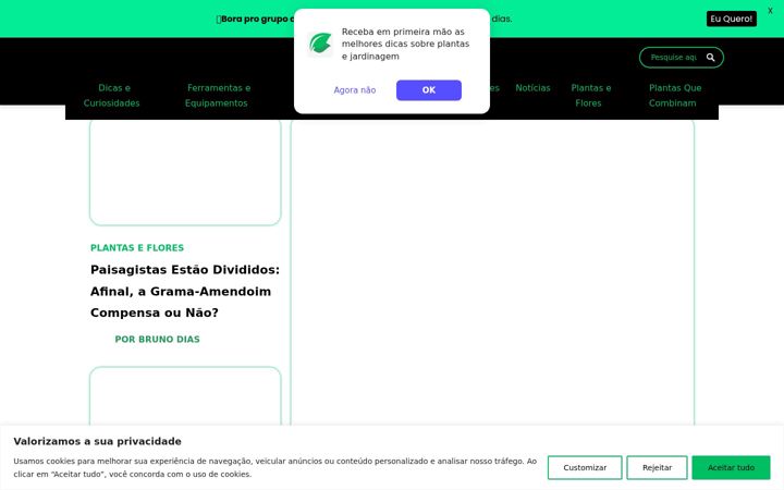 Screenshot of bepage.com.br
