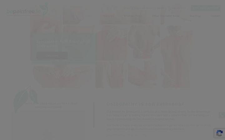 Snímek obrazovky bepainfree.ie