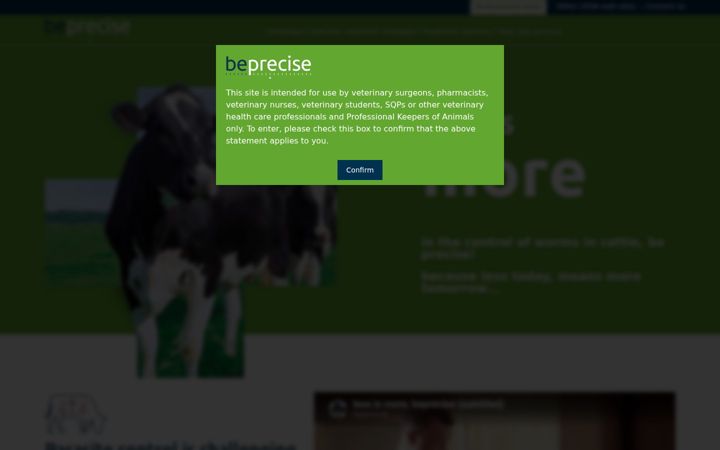 Screenshot of beprecise.org