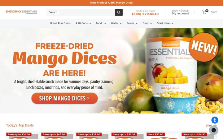 Ekrano kopija beprepared.com