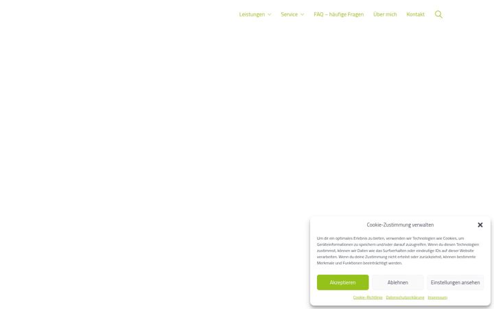 Screenshot of beratung-e-auto.de