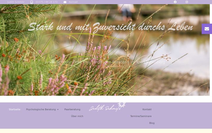 Screenshot of beratung-schmitz.de