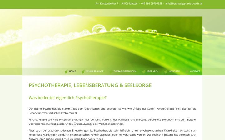 Screenshot ta' beratungspraxis-bosch.de
