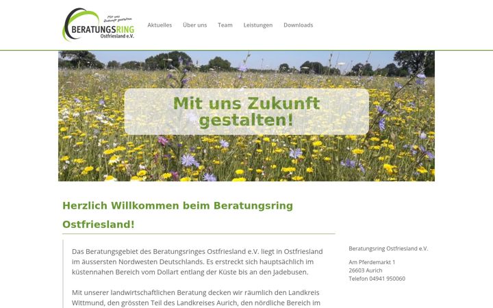 Screenshot ta' beratungsring-online.de