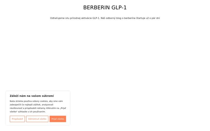 Ekraanipilt saidist berberin.sk