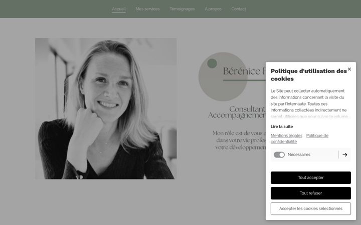 Screenshot of berenice-finet.fr