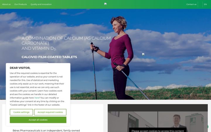 Screenshot of beres-international.com