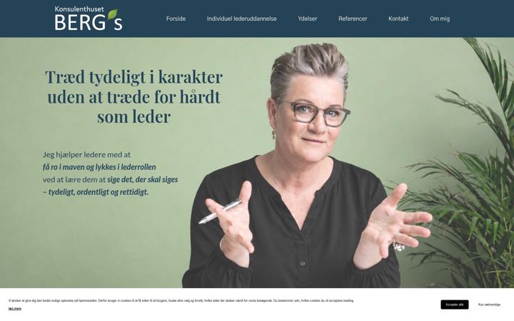 Screenshot of berg-s.dk