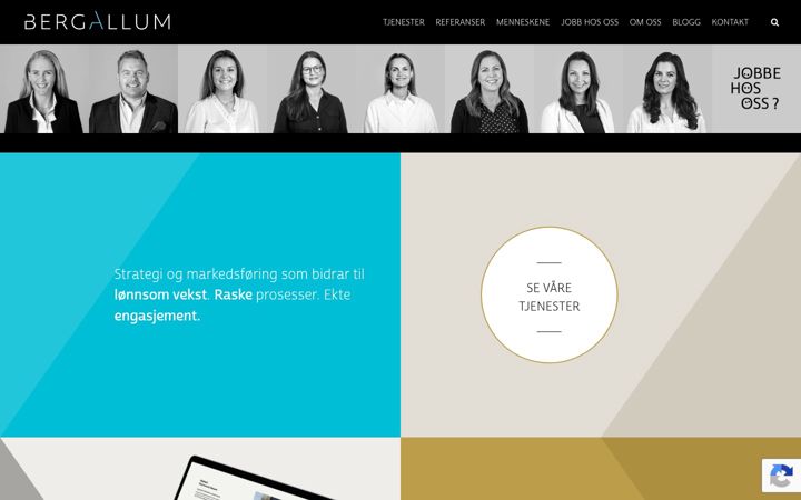 Screenshot of bergallumconsulting.no