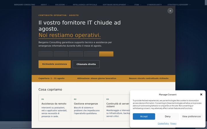 Screenshot of bergamoconsulting.eu