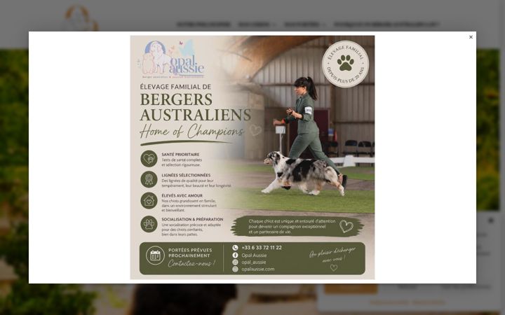 Screenshot of bergeraustralien-opalaussie.com