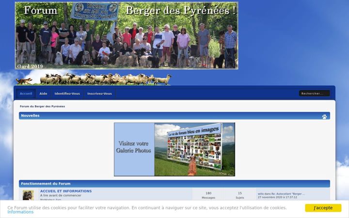 Screenshot of bergerpyrenees.fr