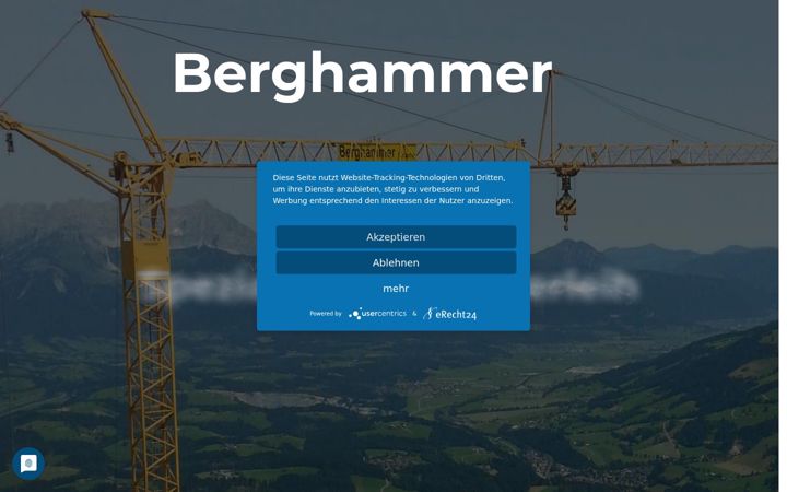Screenshot stránky berghammer-krane.de
